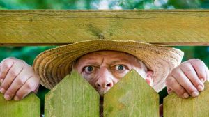 Lust auf Neues - Jutta Haslmaier